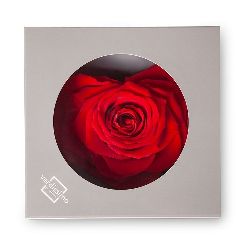 VERDISSIMO-ROSE Coeur pièce