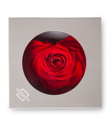 VERDISSIMO-ROSE Coeur pièce