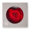 VERDISSIMO-ROSE Coeur pièce