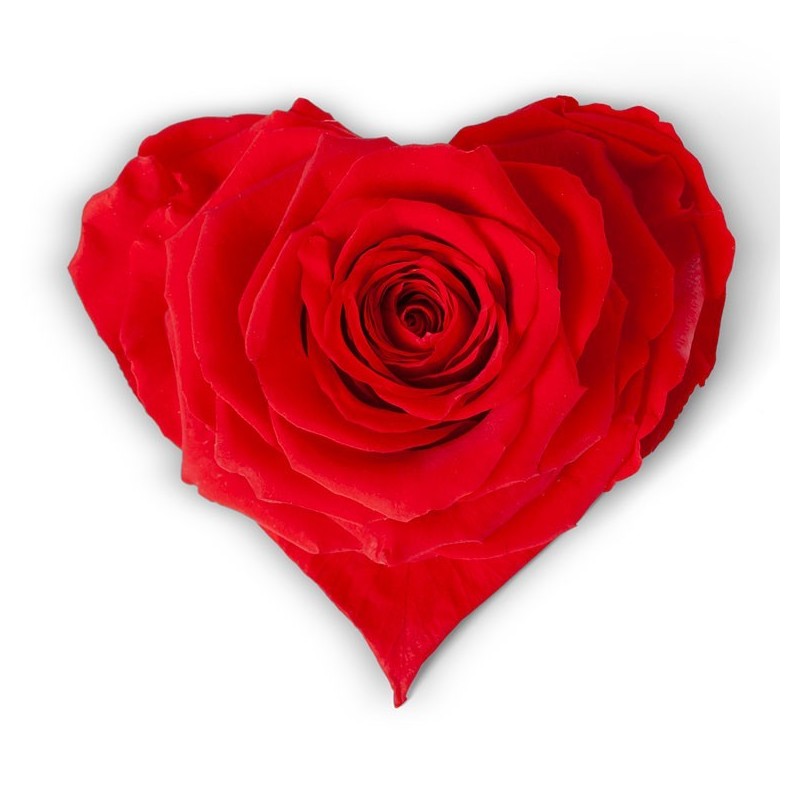 VERDISSIMO-ROSE Coeur pièce