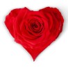 VERDISSIMO-ROSE Coeur pièce