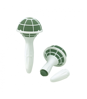 OASIS LADY PLUS POIGNEE/ 6 pces  3099