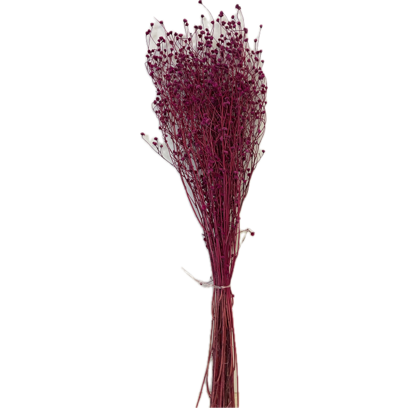 CENTAUREA MINI SECHE COULEURS sac 150gr