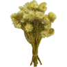 FLEUR CAPBLUMEN SECHE COULEUR le sachet