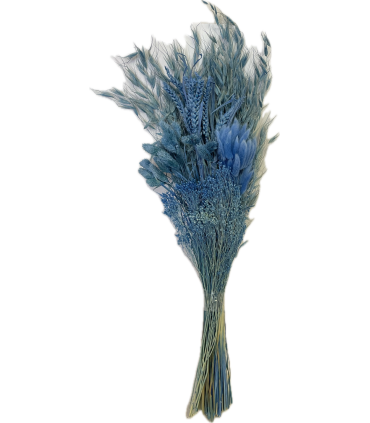 ASSORTIMENT HERBE SECHE SAC 125GR