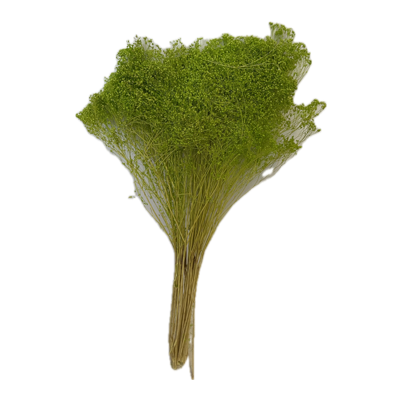 BROOM BLOOM COULEUR 100GR