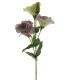 FLEUR LISIANTHUS 3 fleurs 53CM à la tige