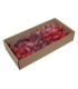 FRUIT SEC LEUCODENDRON ROUGE boite de 100P