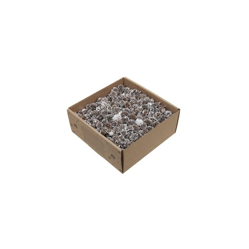 FRUIT SEC "CASURINA" boite 430GR 