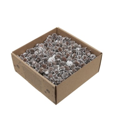 FRUIT SEC "CASURINA" boite 430GR 