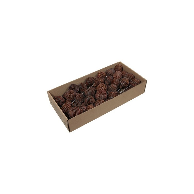 FRUIT SEC" PLATYSPERMUM" boite 55P
