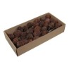FRUIT SEC" PLATYSPERMUM" boite 55P