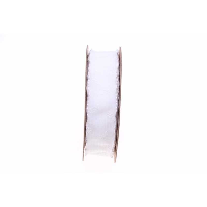 RUBAN FANTAISIE SPIRIT 25MM X 15M