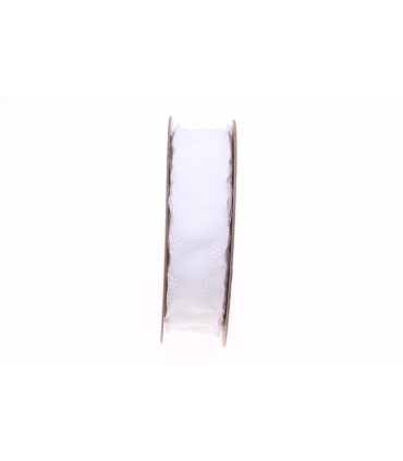 RUBAN FANTAISIE SPIRIT 25MM X 15M