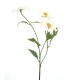 FLEUR MARGUERITE ROYALE 76CM à la pièce