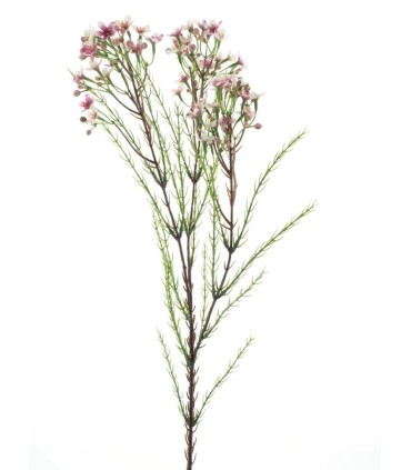 FLEUR DE CIRE 78CM à la pièce