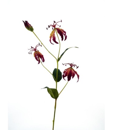 FLEUR GLORIOSA LILY 82CM à la pièce