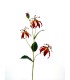 FLEUR GLORIOSA LILY 82CM à la pièce