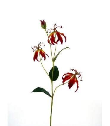FLEUR GLORIOSA LILY 82CM à la pièce