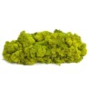 MOUSSE ISLANDE TEINTEE  500GR