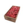 MOUSSE ISLANDE TEINTEE  500GR