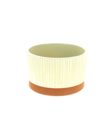 COUPE STRIE couleur FOND TERRA 015 H9.5CM /6P