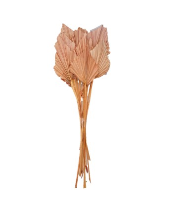 FEUILLE PALMIER COULEUR les 10P