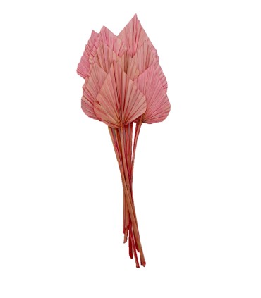 FEUILLE PALMIER COULEUR les 10P