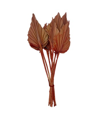 FEUILLE PALMIER COULEUR les 10P