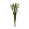 VERDISSIMO-STATICE 50/70CM les 100GR