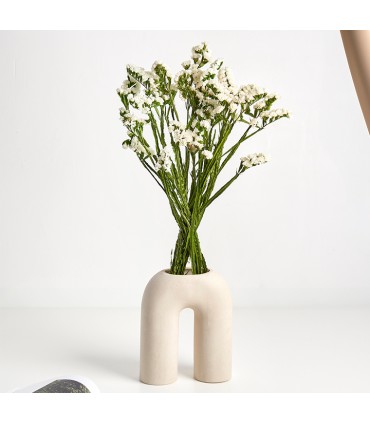 VERDISSIMO-STATICE 50/70CM les 100GR