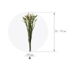 VERDISSIMO-STATICE 50/70CM les 100GR