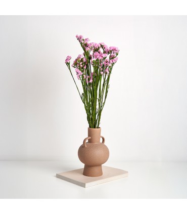 VERDISSIMO-STATICE 50/70CM les 100GR