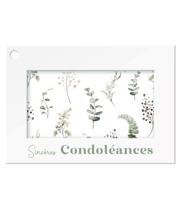 JESO CARTE "COLORA" les 10P