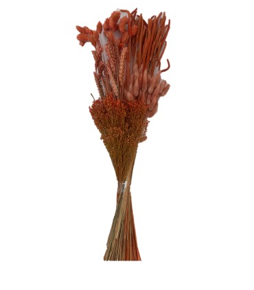 ASSORTIMENT HERBE SECHE SAC 125GR