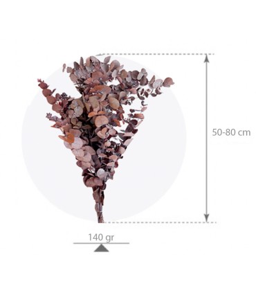 VERDISSIMO-CINEREA 50/80CM les 140gr