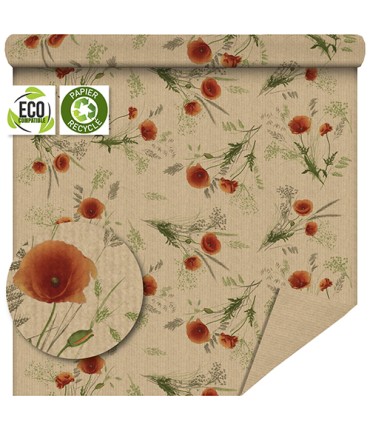 PAPIER KRAFT IMPRIME fond blanc 80cm X50M