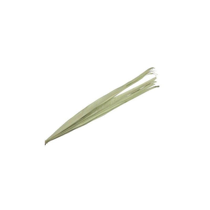 FEUILLE SECHEE 90-110CM /10P