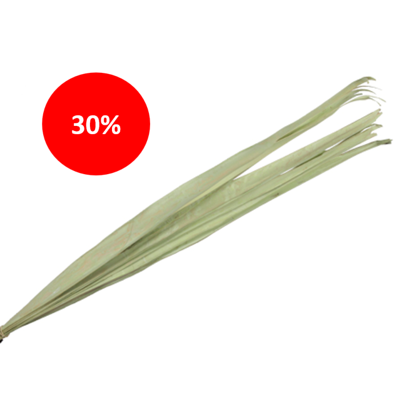 FEUILLE SECHEE 90-110CM /10P