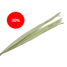FEUILLE SECHEE 90-110CM /10P