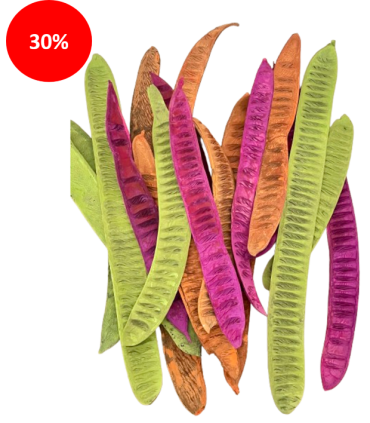 SECHE STEP FRUIT assortiment 20P