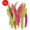 SECHE STEP FRUIT assortiment 20P