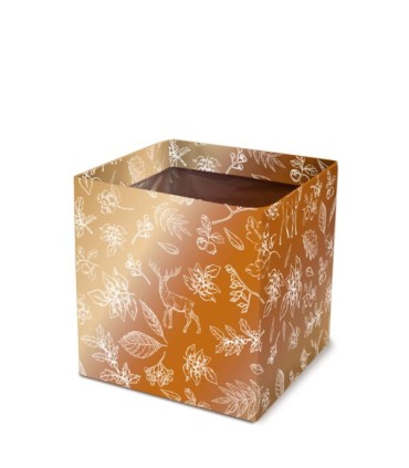 BOITE CARTON SIMPLY IMP.médium les 10P