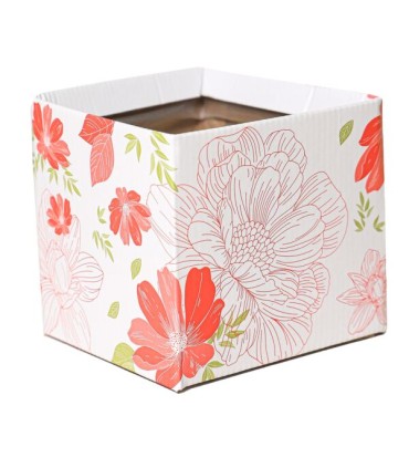 BOITE CARTON SIMPLY IMP.médium les 10P