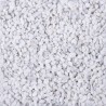 GRAVIER COULEUR 2-3MM 5 LITRES 8Kg