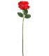 FLEUR ROSE TIGE 65CM ASSORT.les 36P