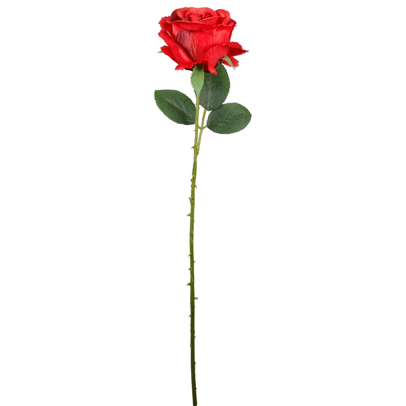 FLEUR ROSE TIGE 65CM ASSORT.les 36P