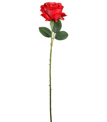 FLEUR ROSE TIGE 65CM ASSORT.les 36P