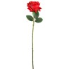 FLEUR ROSE TIGE 65CM ASSORT.les 36P
