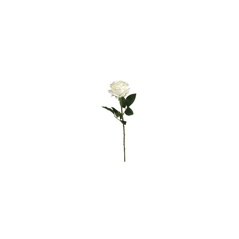 FLEUR ROSE TIGE 65CM ASSORT.les 36P